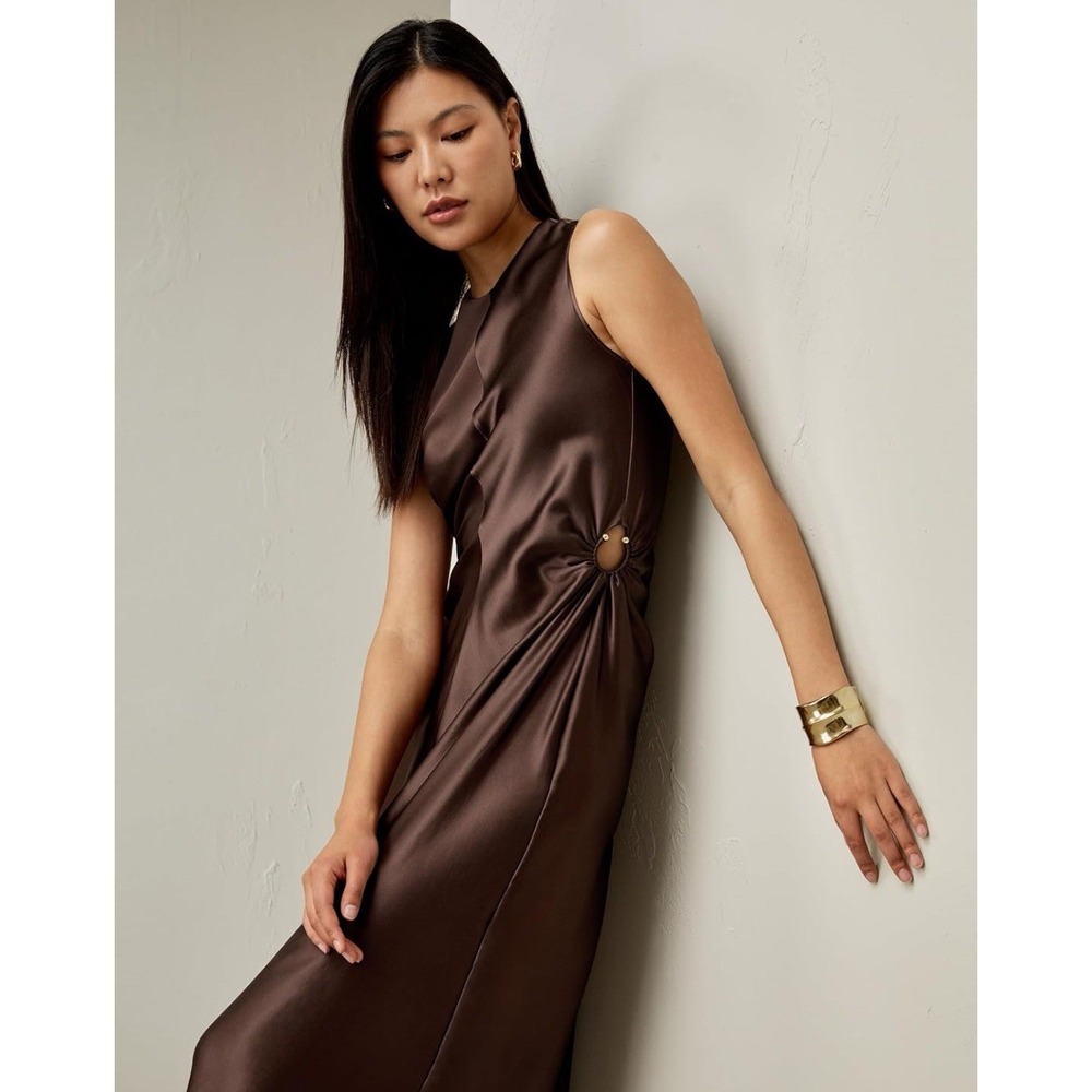 LilySilk $249 Mulberry Silk Chocolate A Line Dress Cut‎ Metal Ring Size 6 - Picture 4 of 14